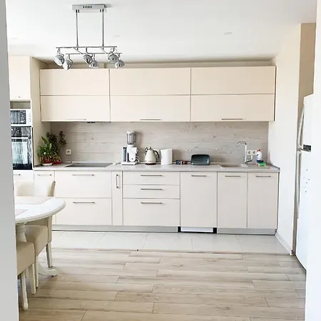 Clean And Comfortable Apparts, Family,business,travel Apartment Odesa
