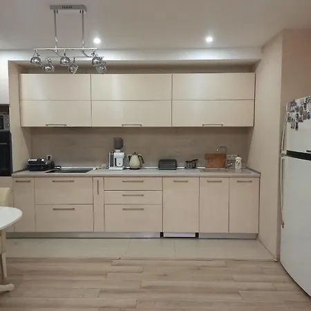 Clean And Comfortable Apparts, Family,business,travel Apartment